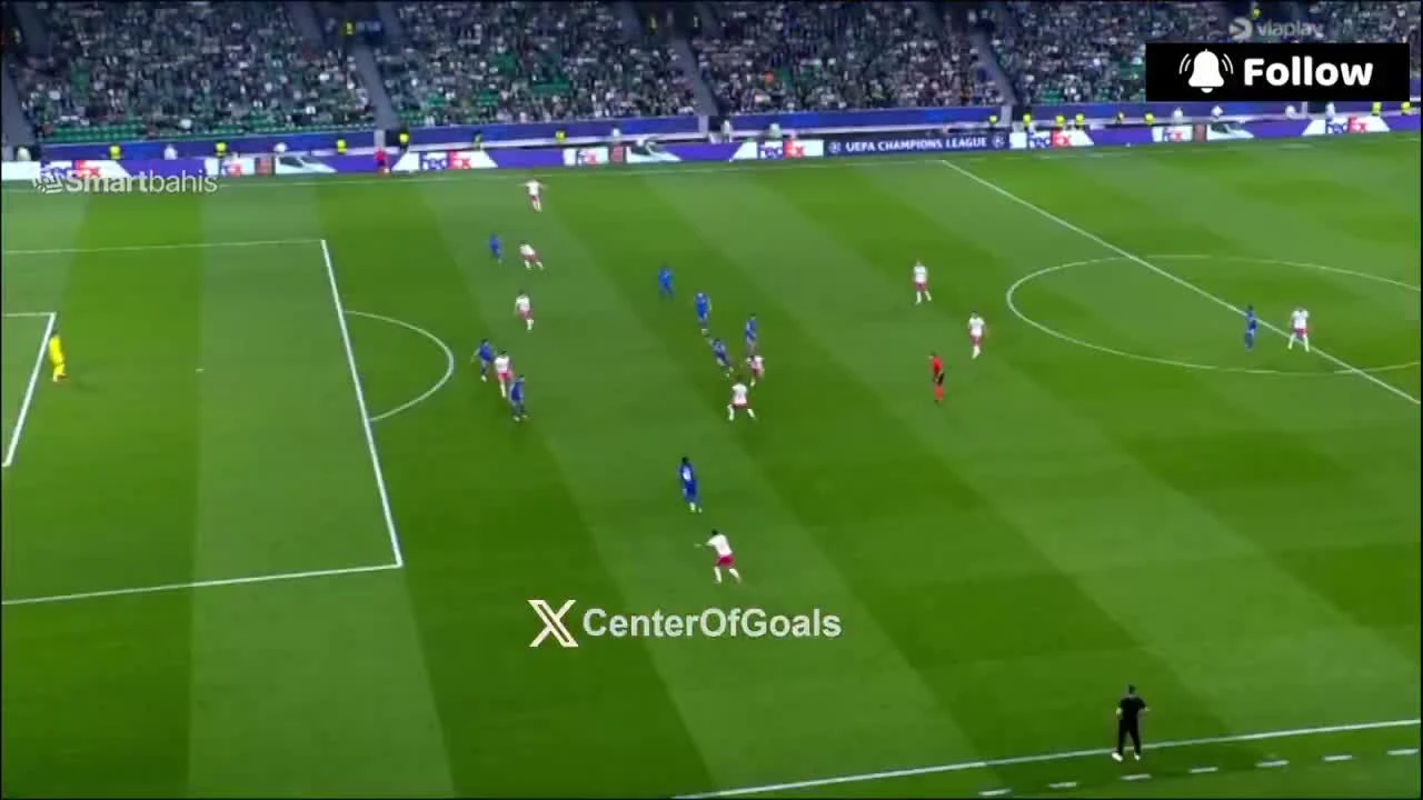 zaslepka skrotu video