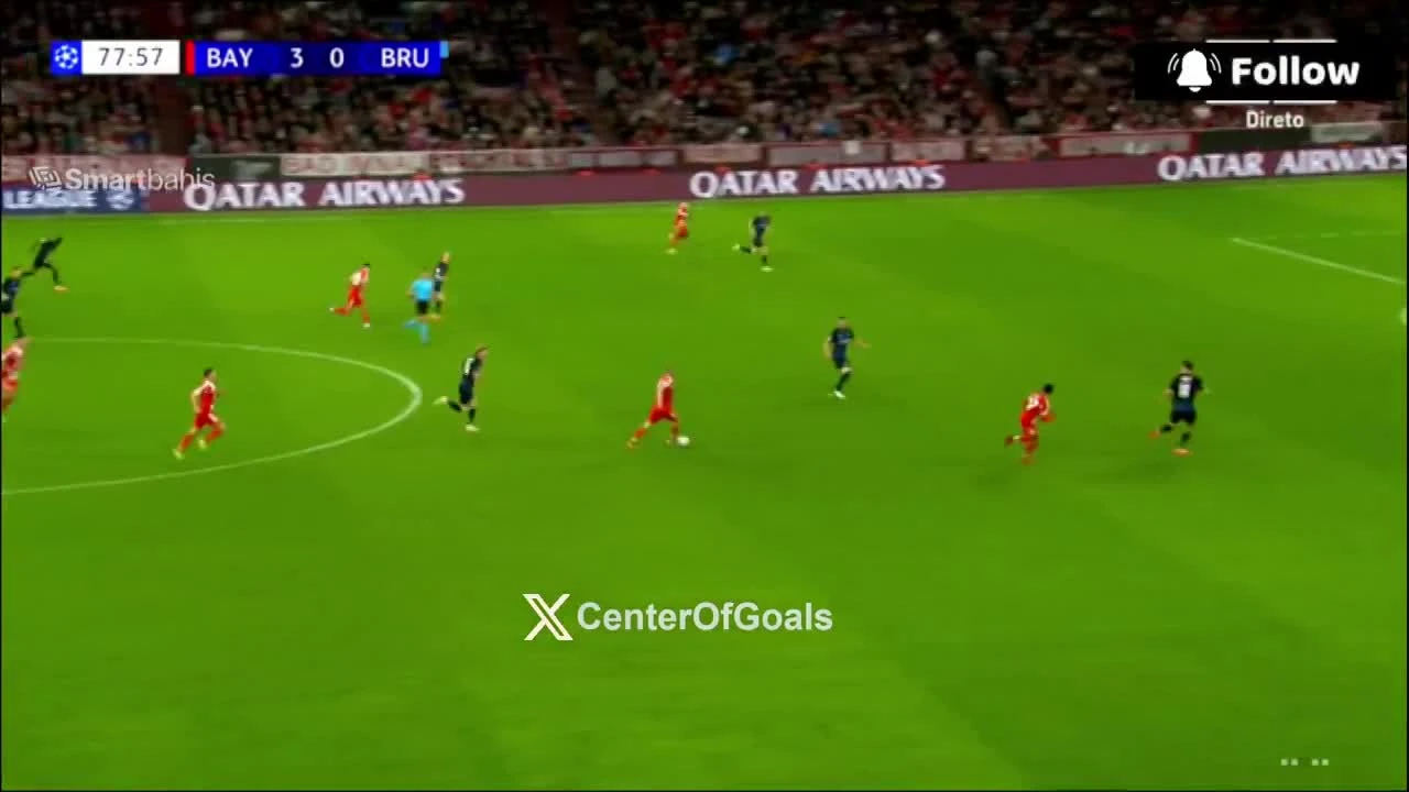 zaslepka skrotu video