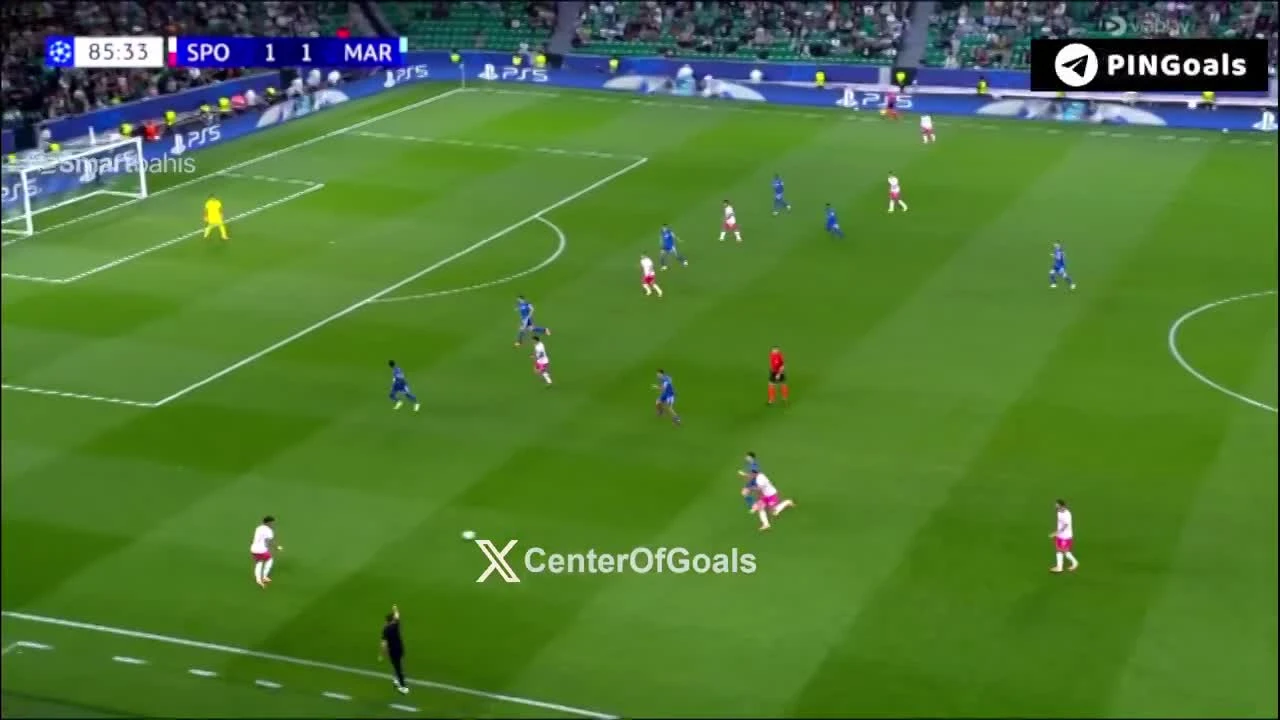 zaslepka skrotu video