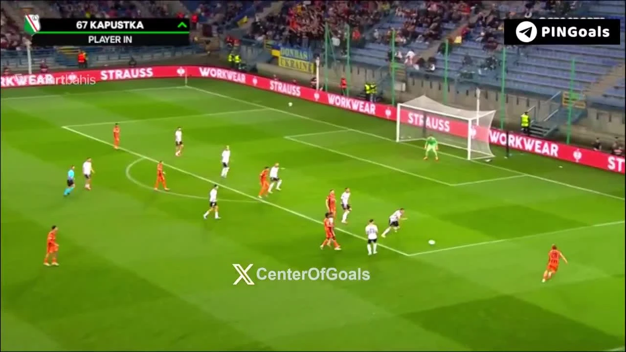 zaslepka skrotu video