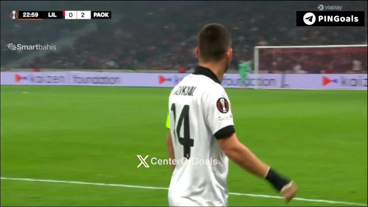 zaslepka skrotu video
