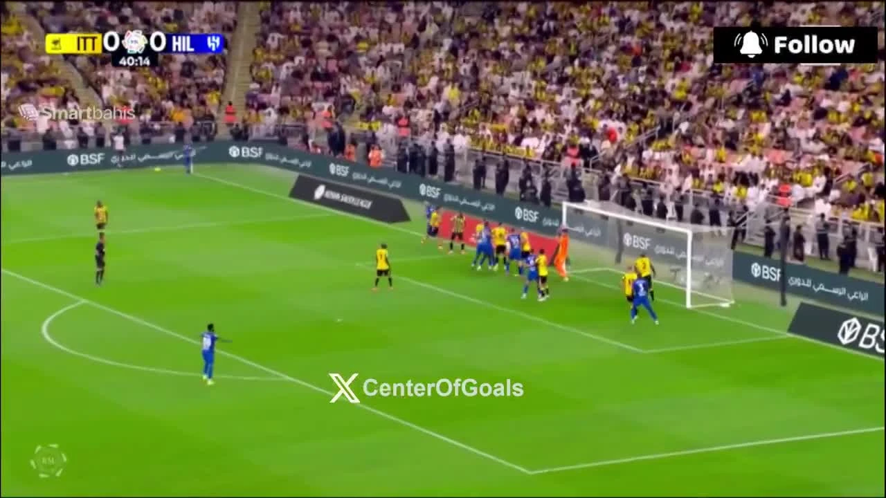 zaslepka skrotu video
