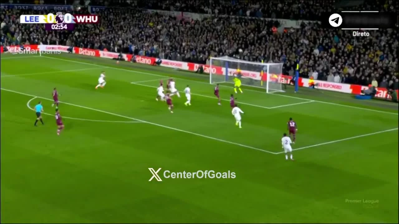 zaslepka skrotu video