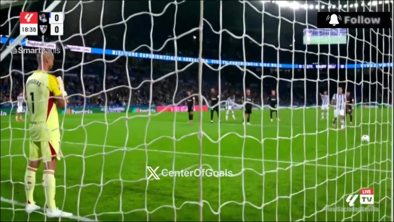 zaslepka skrotu video
