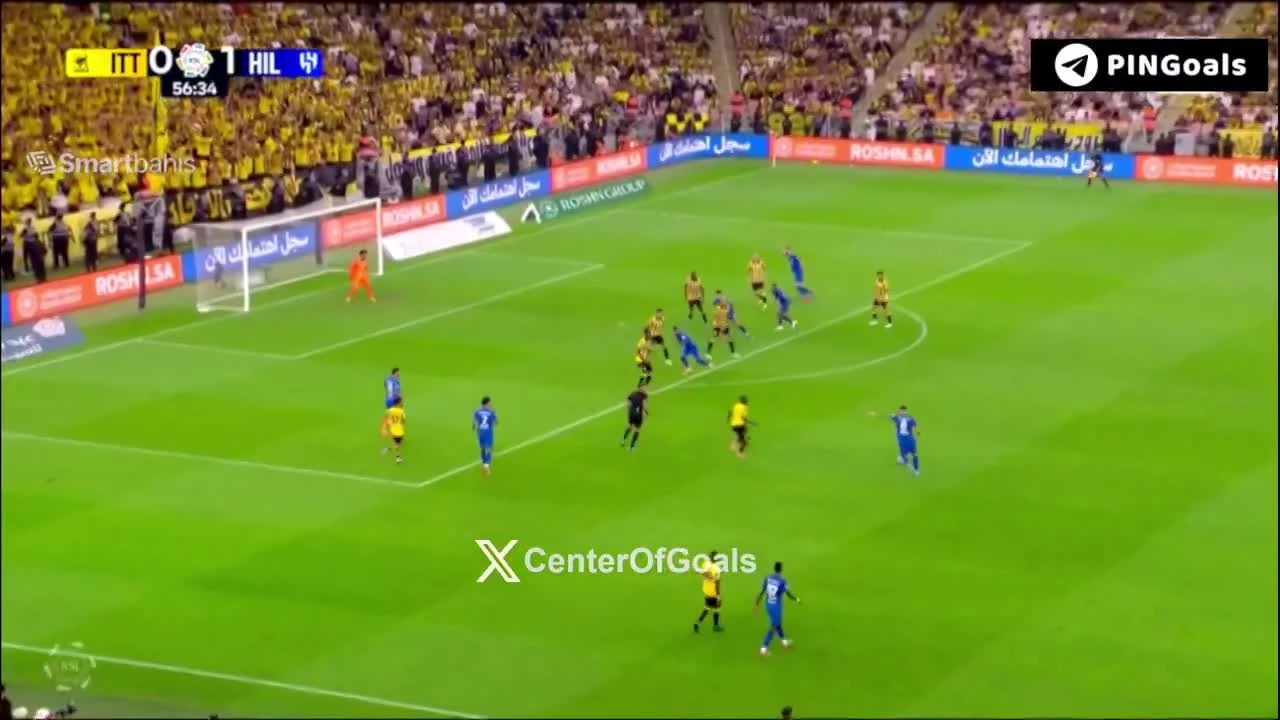 zaslepka skrotu video