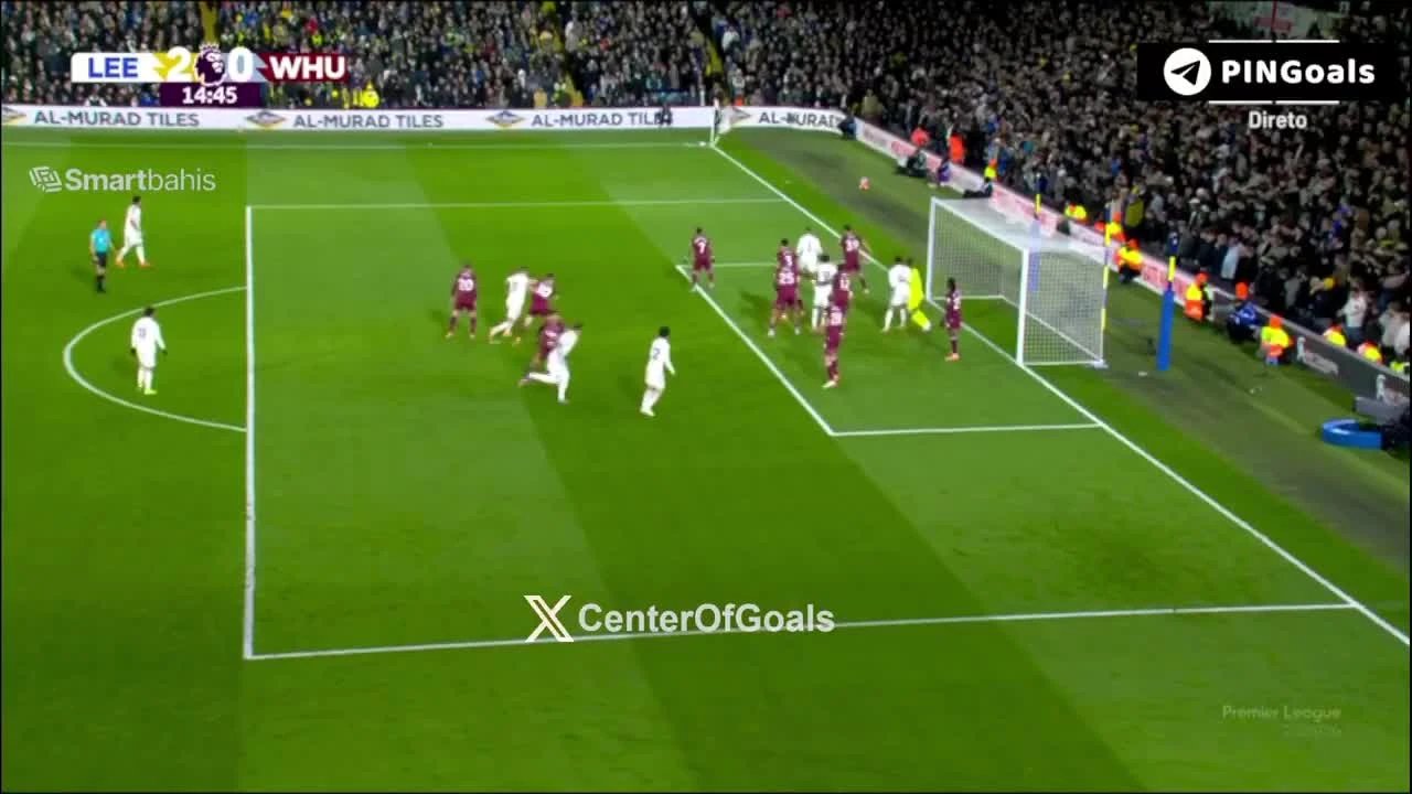 zaslepka skrotu video