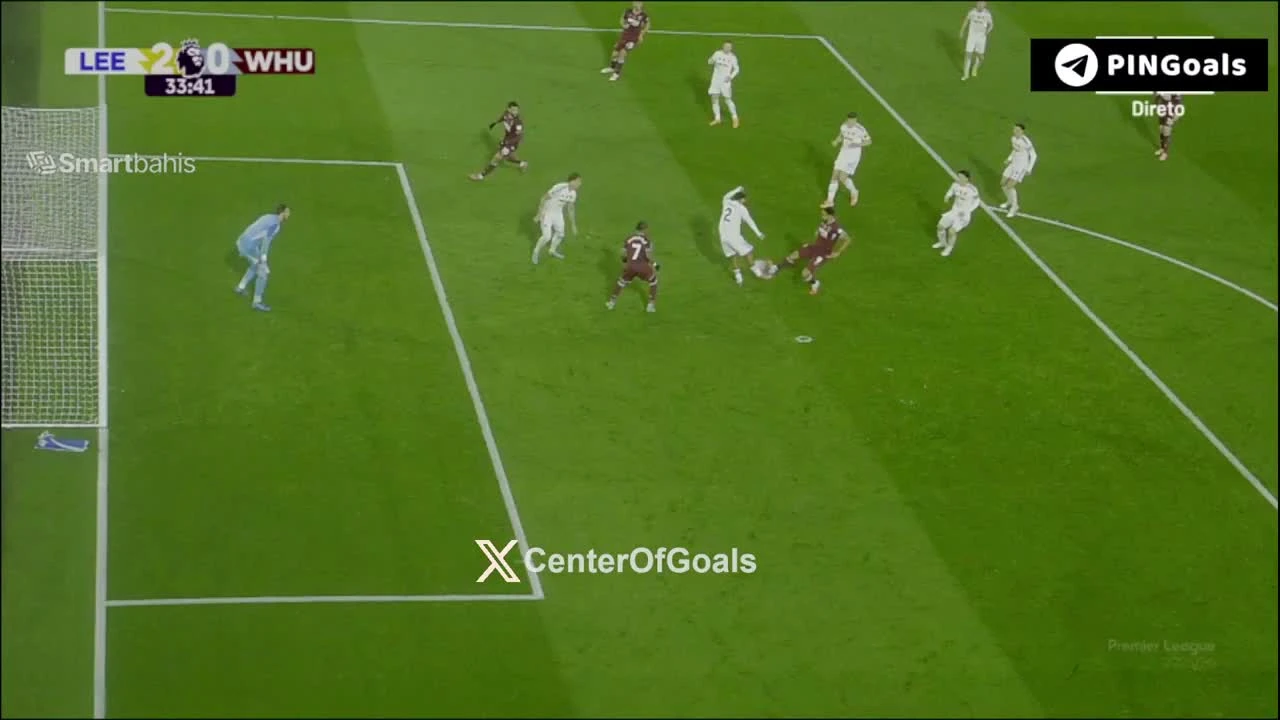 zaslepka skrotu video