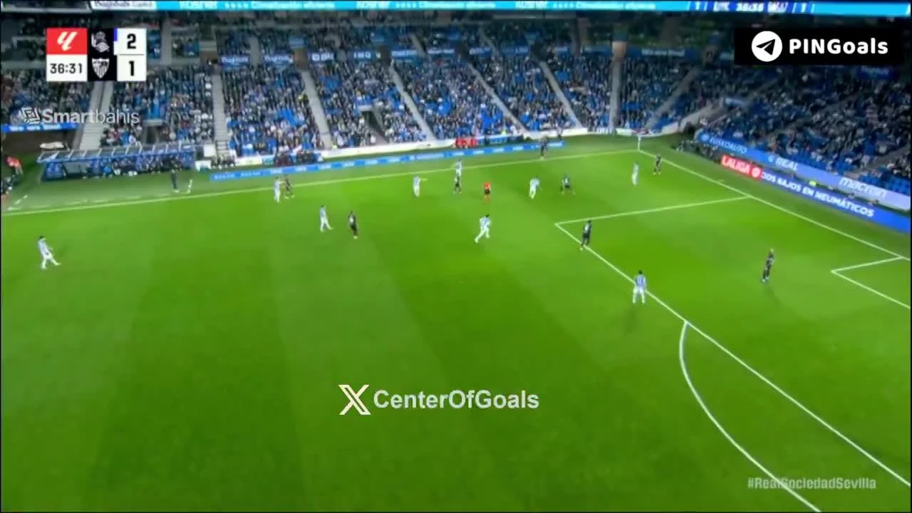 zaslepka skrotu video