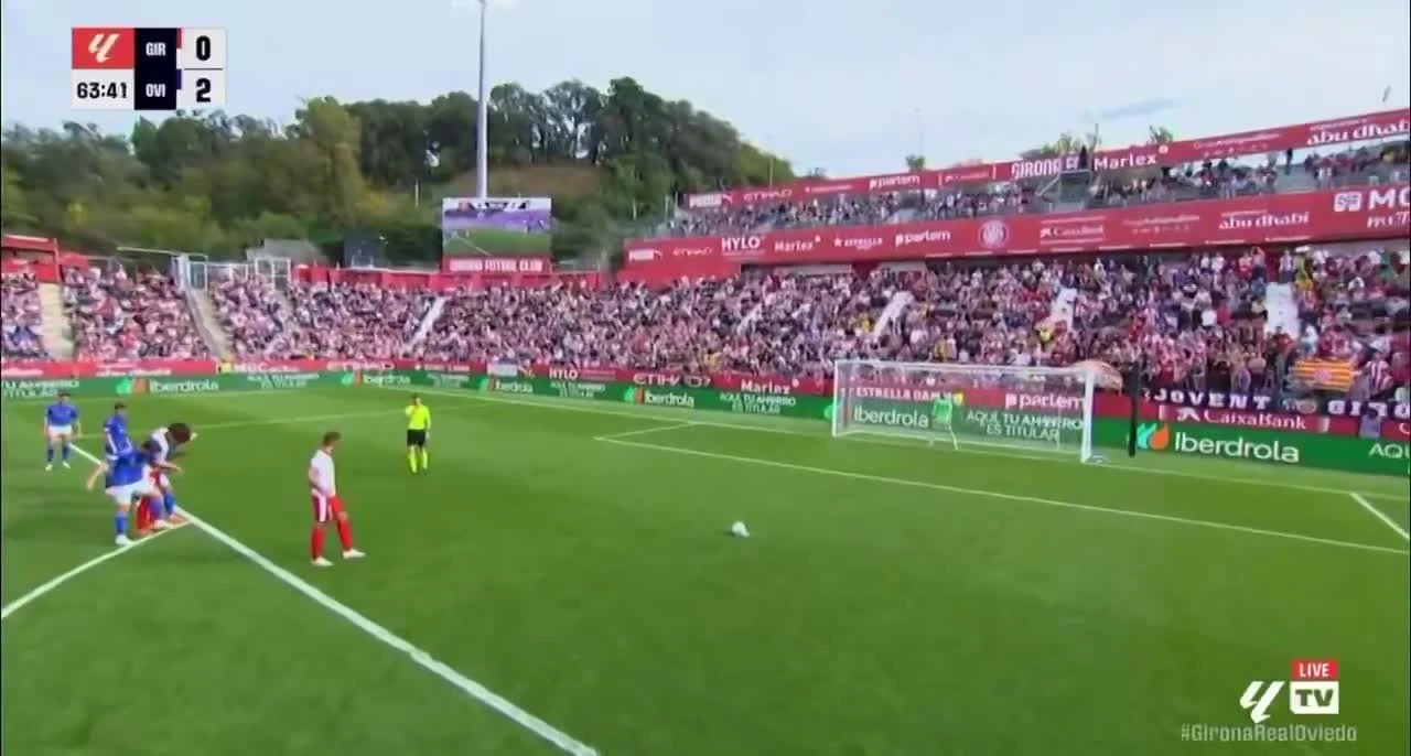 zaslepka skrotu video