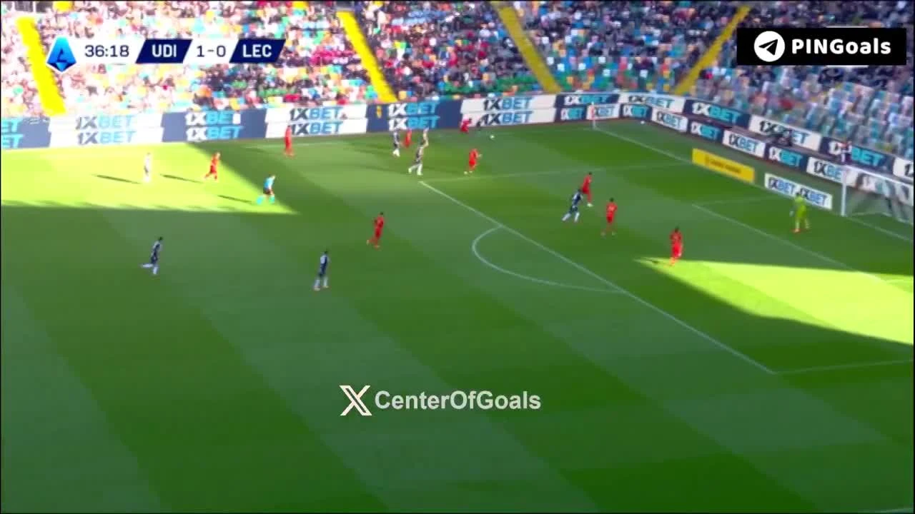 zaslepka skrotu video