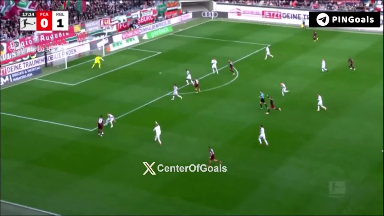 zaslepka skrotu video