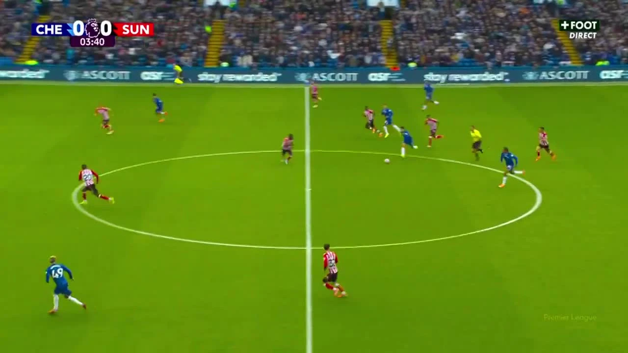 zaslepka skrotu video