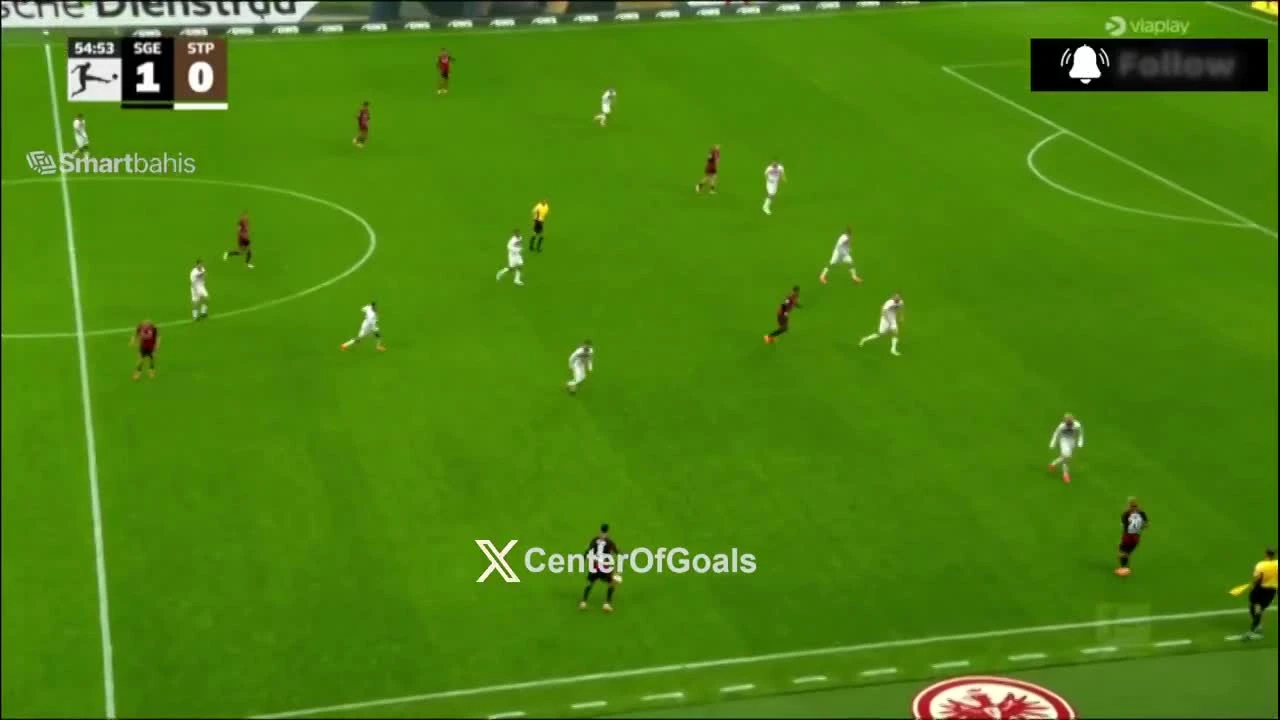 zaslepka skrotu video