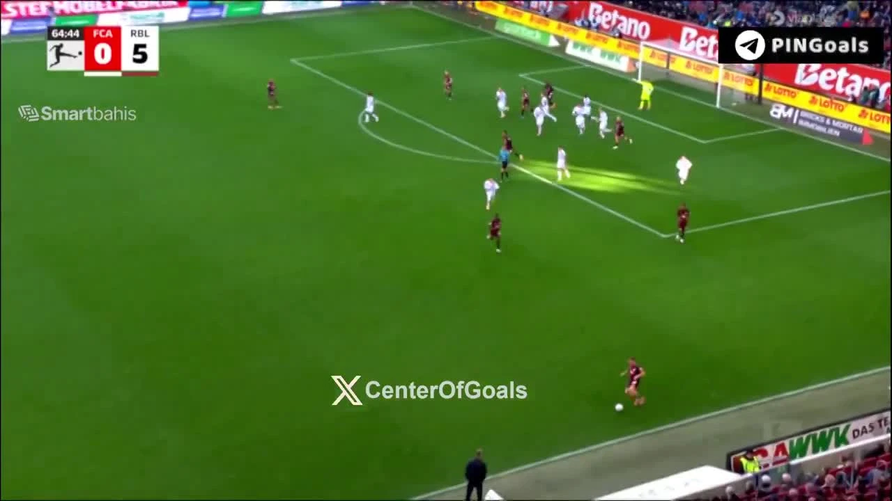 zaslepka skrotu video