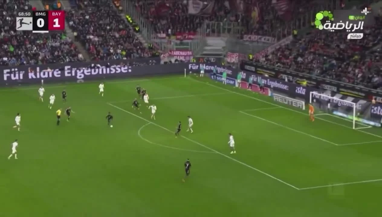 zaslepka skrotu video