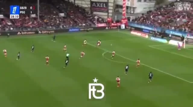zaslepka skrotu video