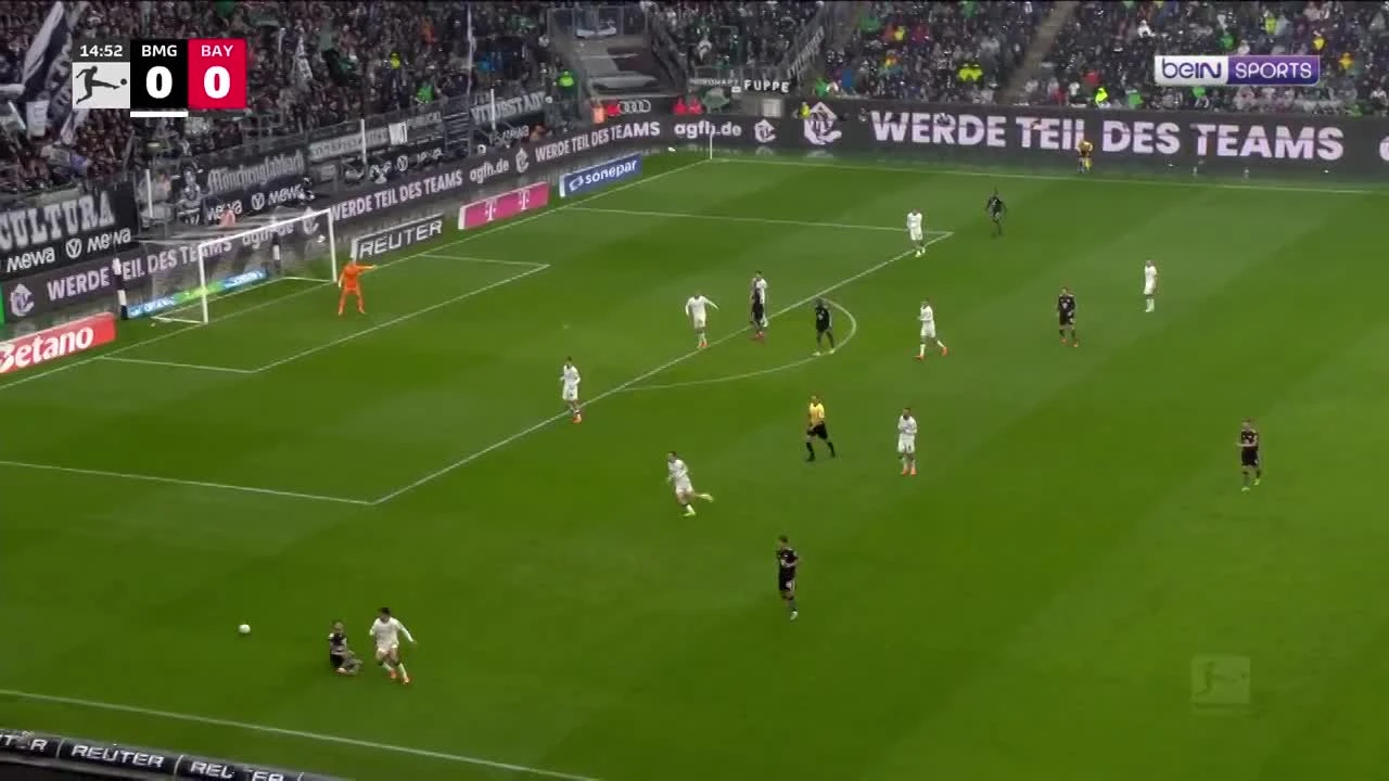 zaslepka skrotu video