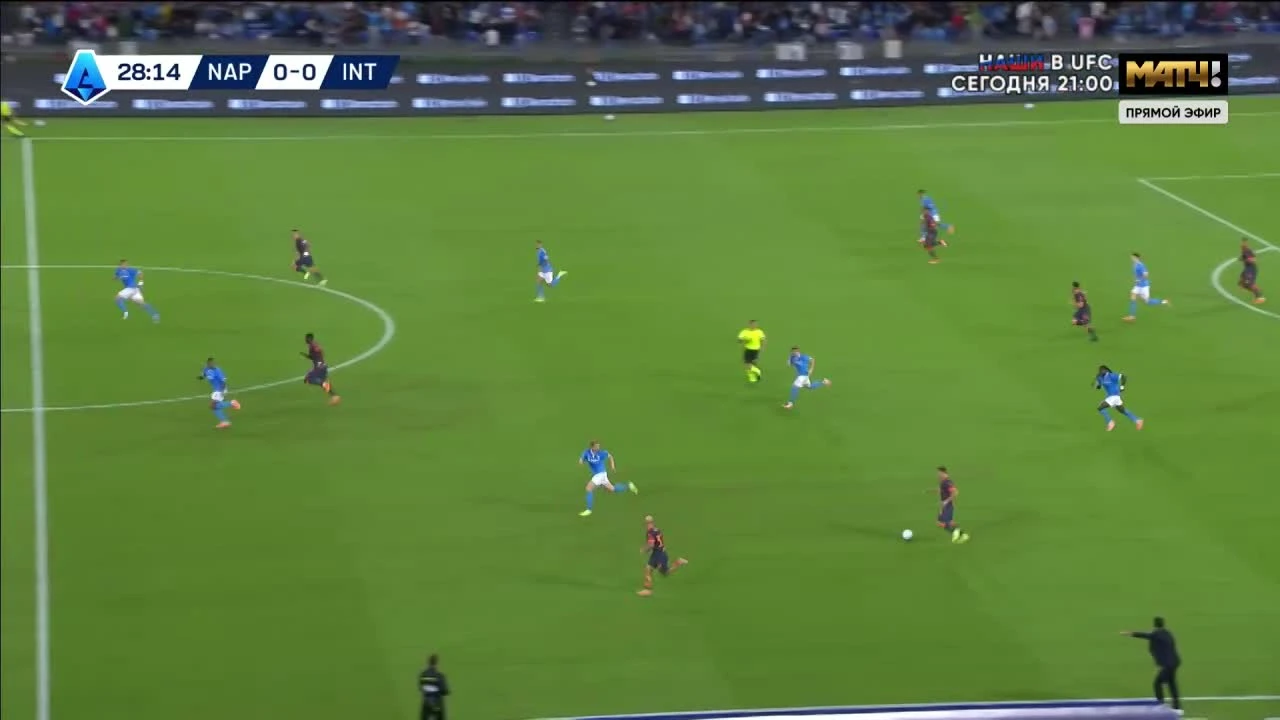 zaslepka skrotu video