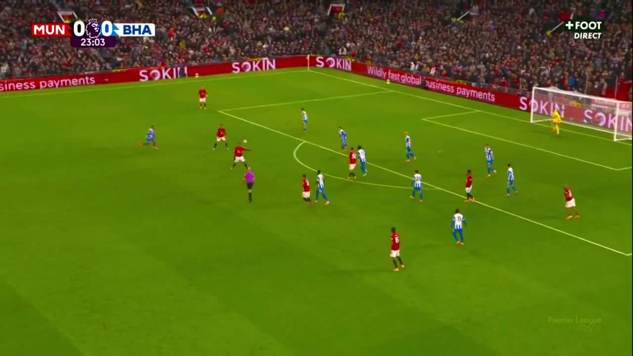 zaslepka skrotu video