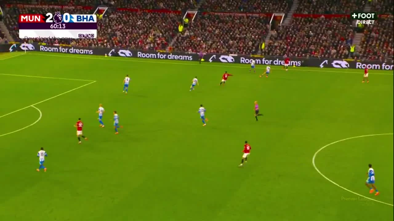 zaslepka skrotu video