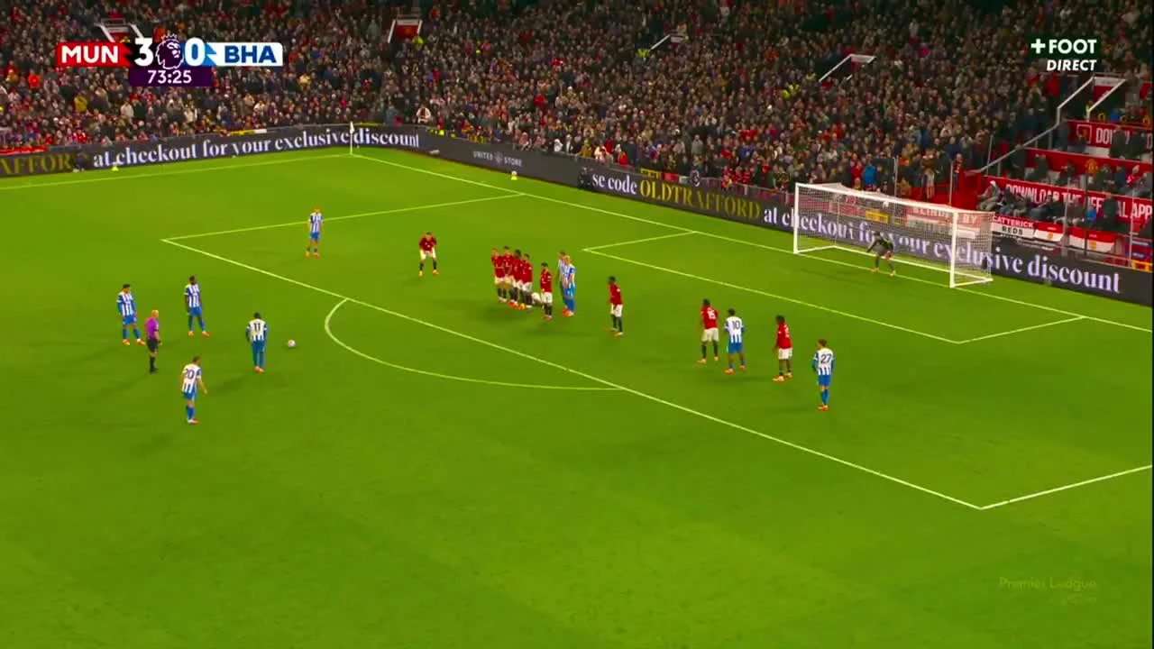 zaslepka skrotu video