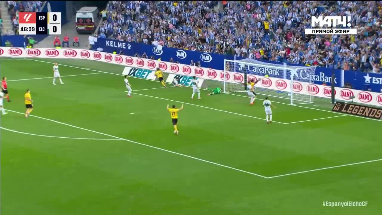zaslepka skrotu video