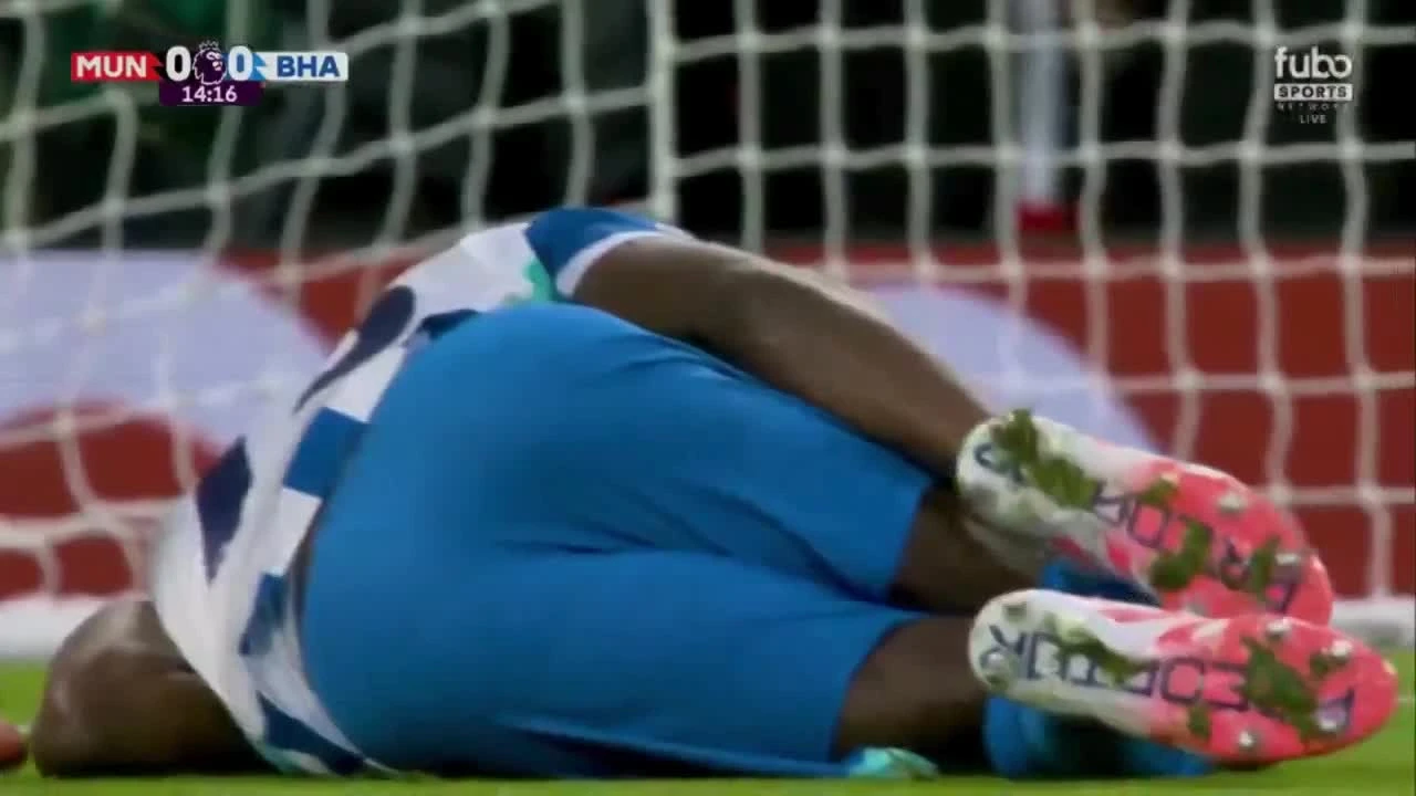 zaslepka skrotu video