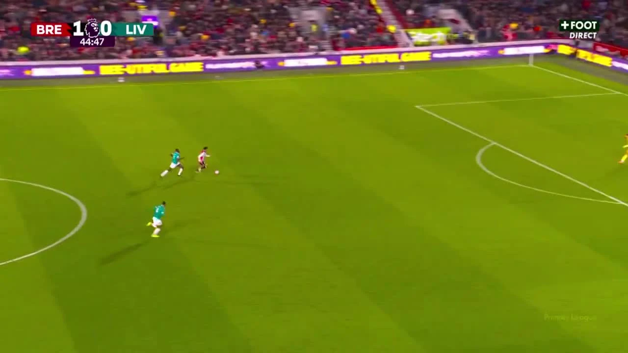 zaslepka skrotu video