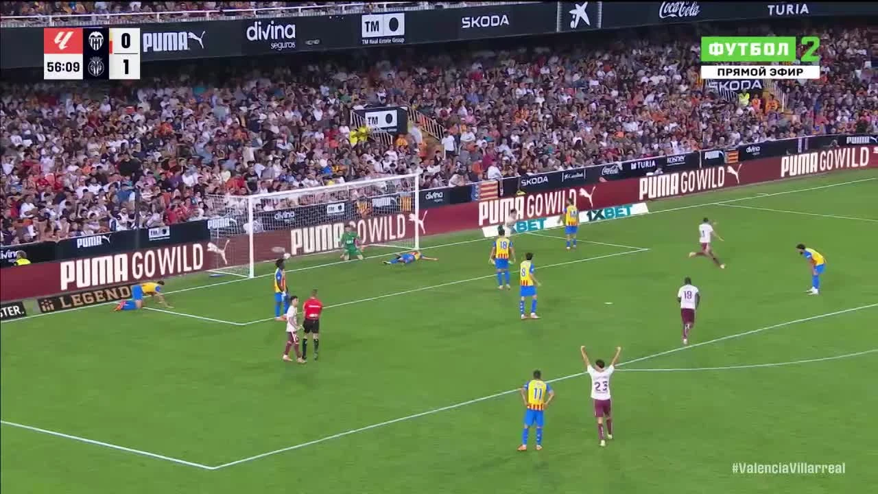zaslepka skrotu video