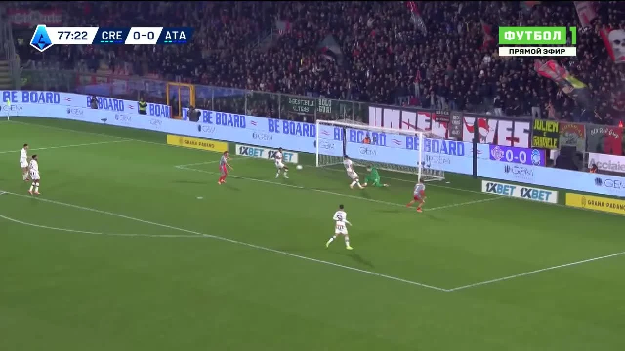 zaslepka skrotu video