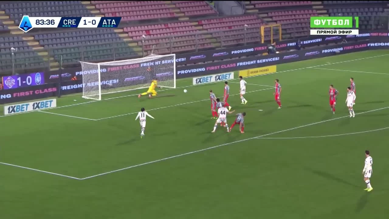 zaslepka skrotu video