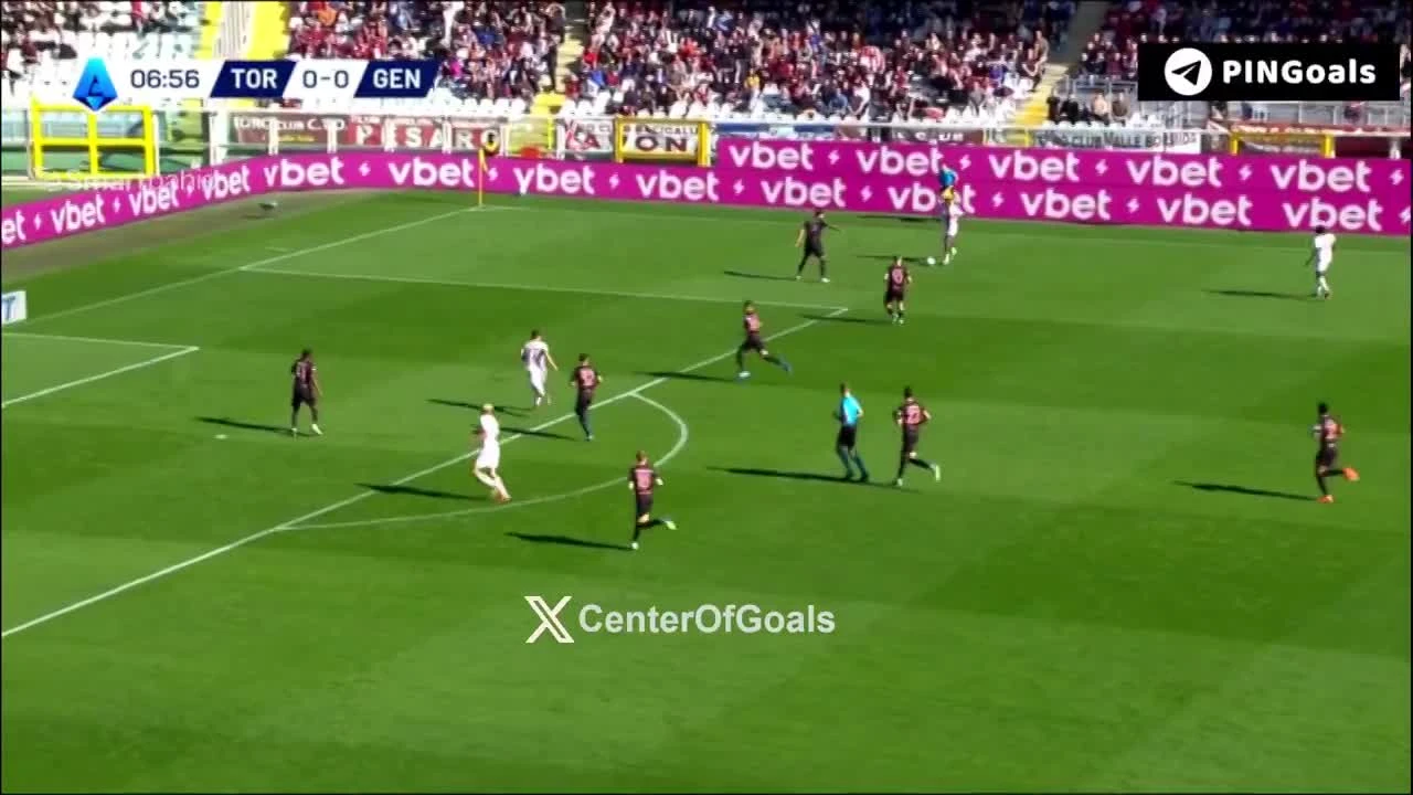 zaslepka skrotu video
