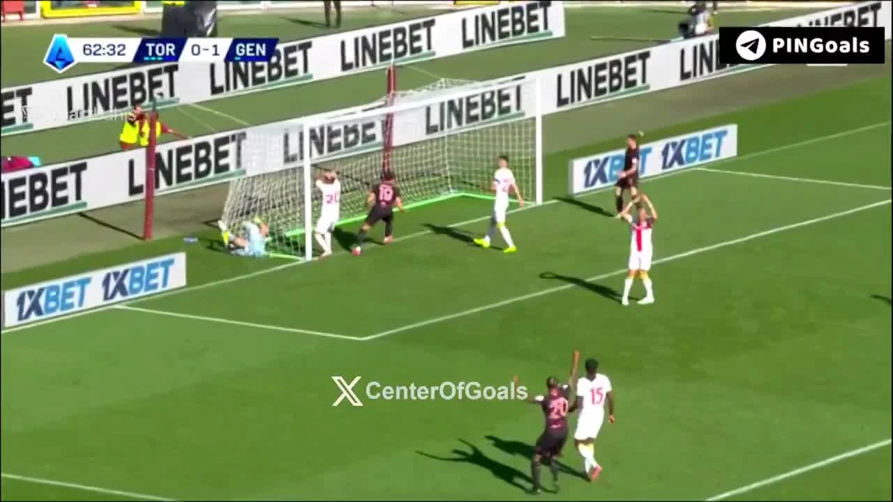 zaslepka skrotu video