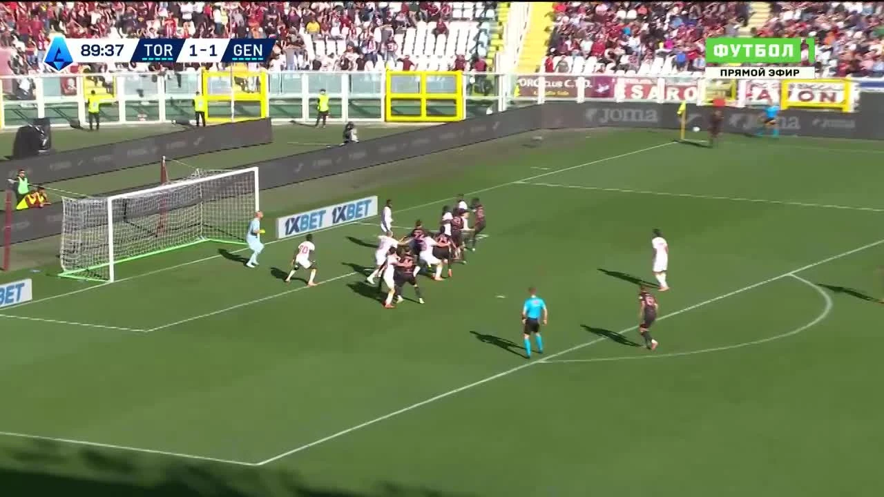zaslepka skrotu video