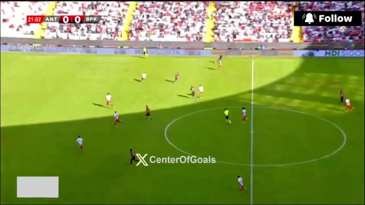zaslepka skrotu video