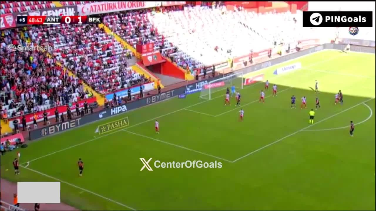 zaslepka skrotu video