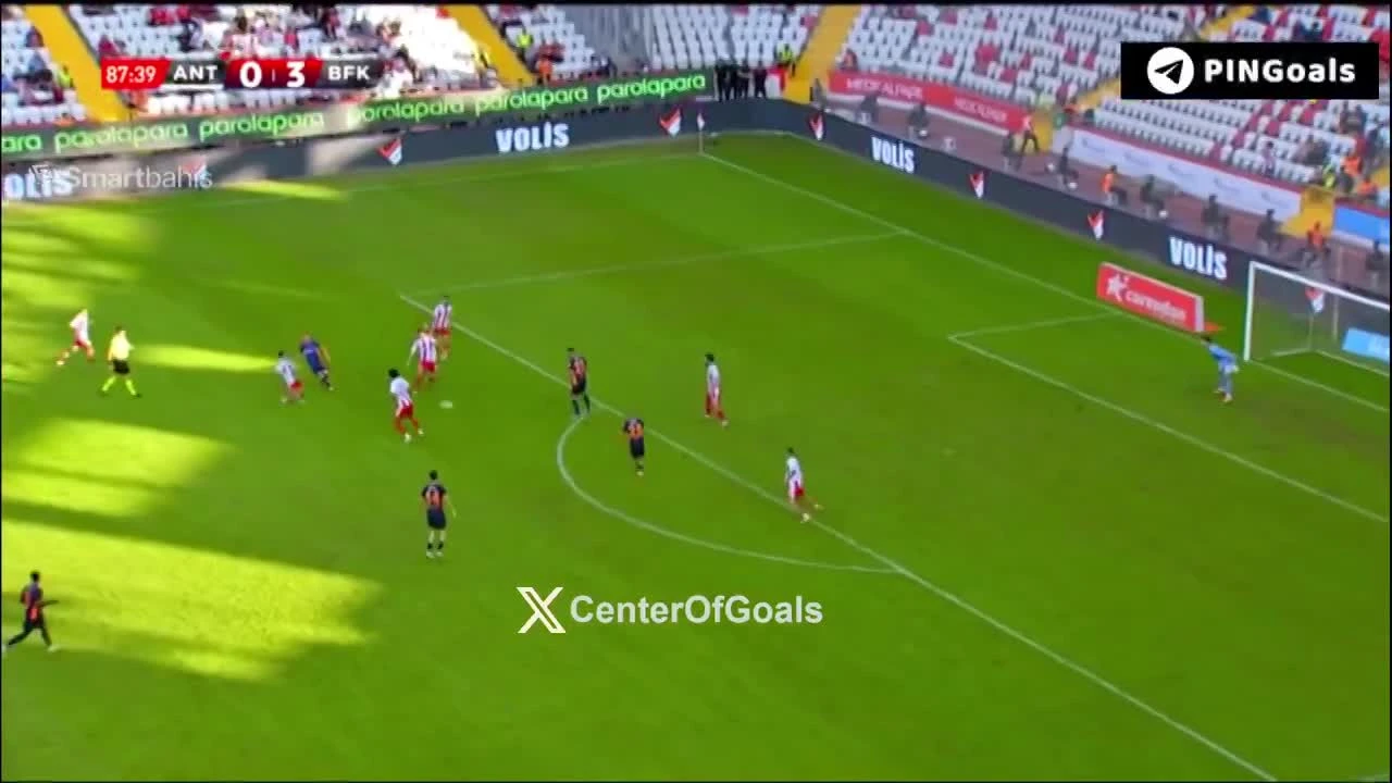 zaslepka skrotu video