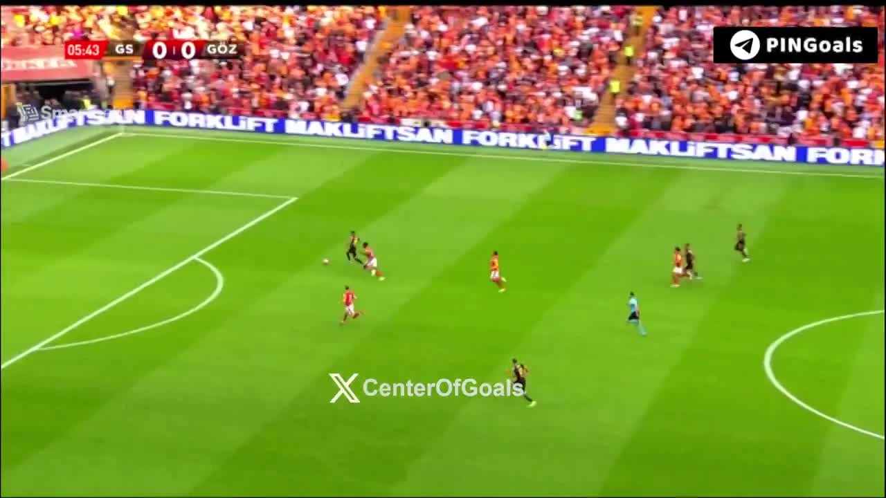 zaslepka skrotu video