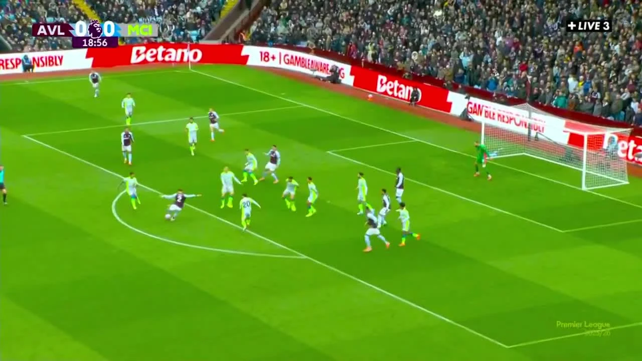 zaslepka skrotu video