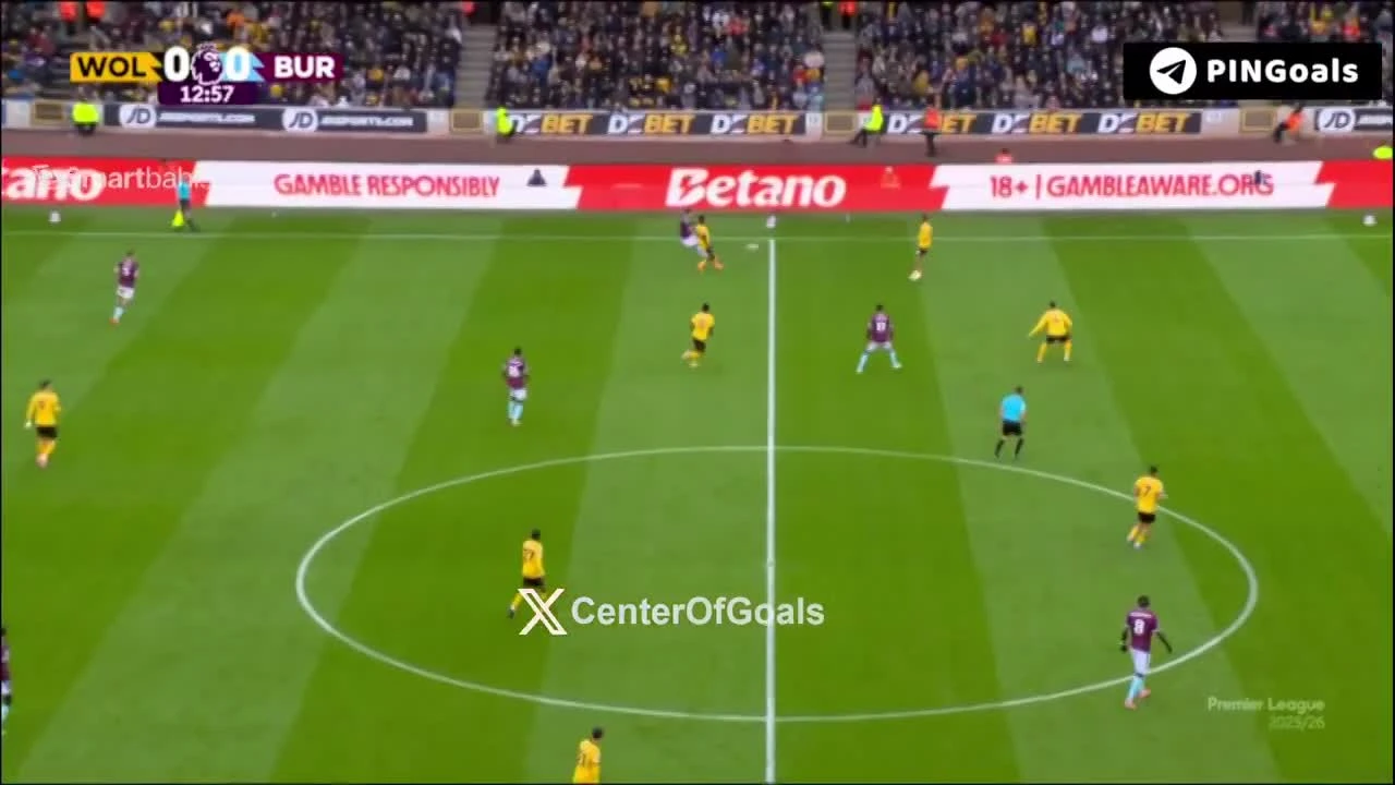 zaslepka skrotu video