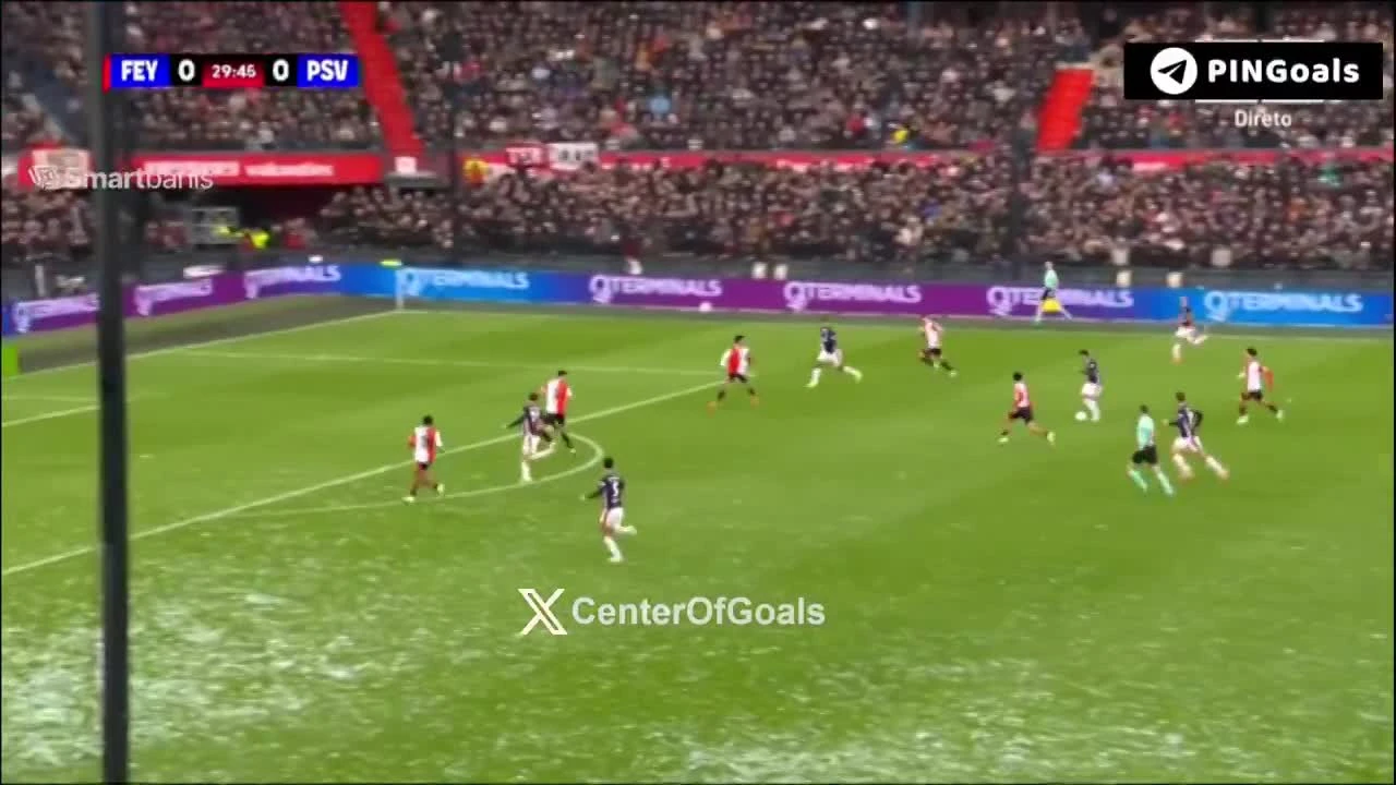 zaslepka skrotu video
