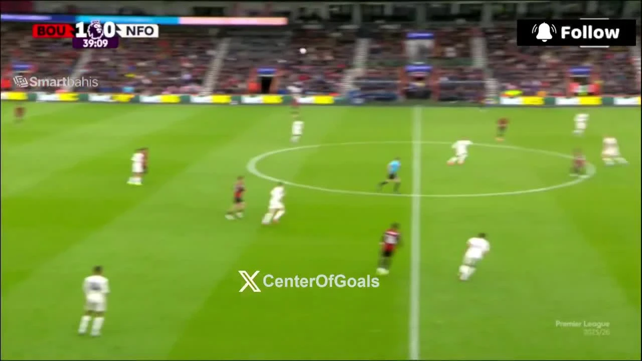 zaslepka skrotu video