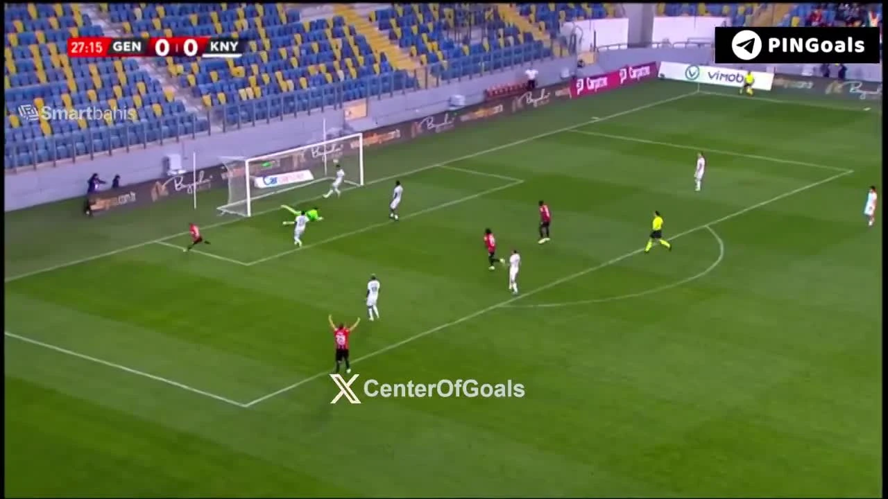 zaslepka skrotu video