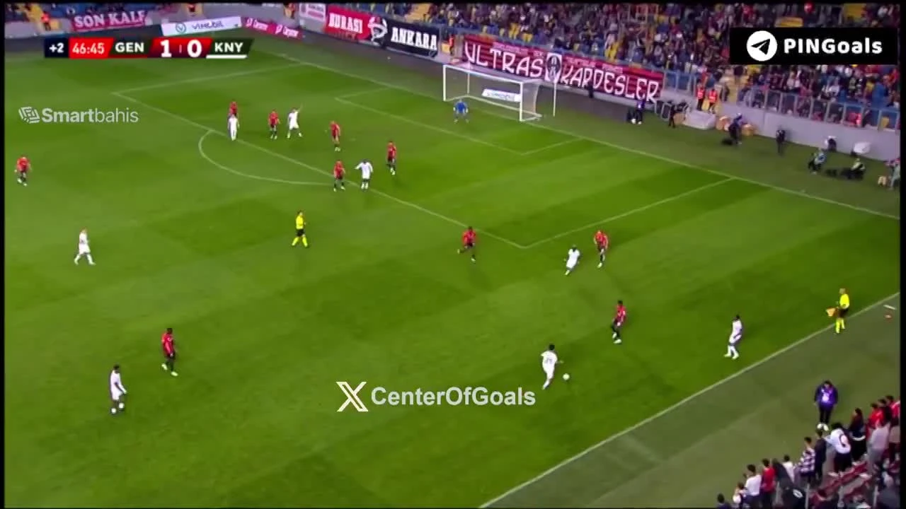 zaslepka skrotu video