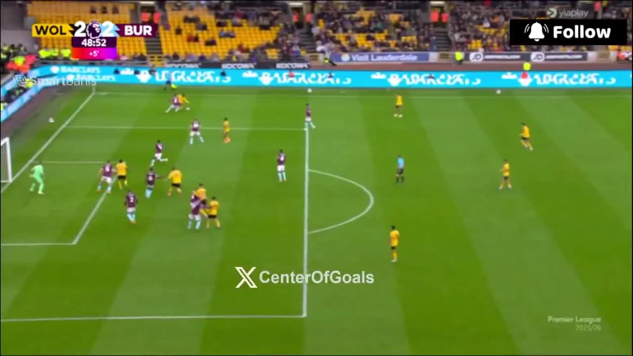 zaslepka skrotu video