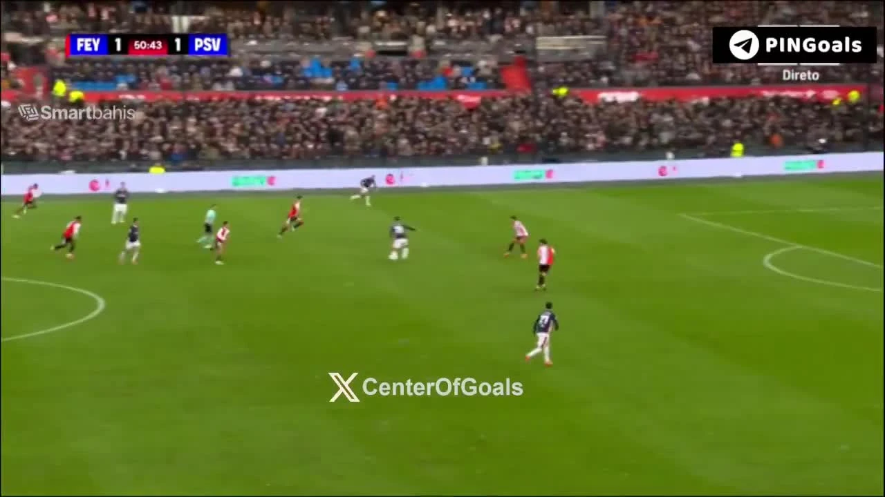 zaslepka skrotu video