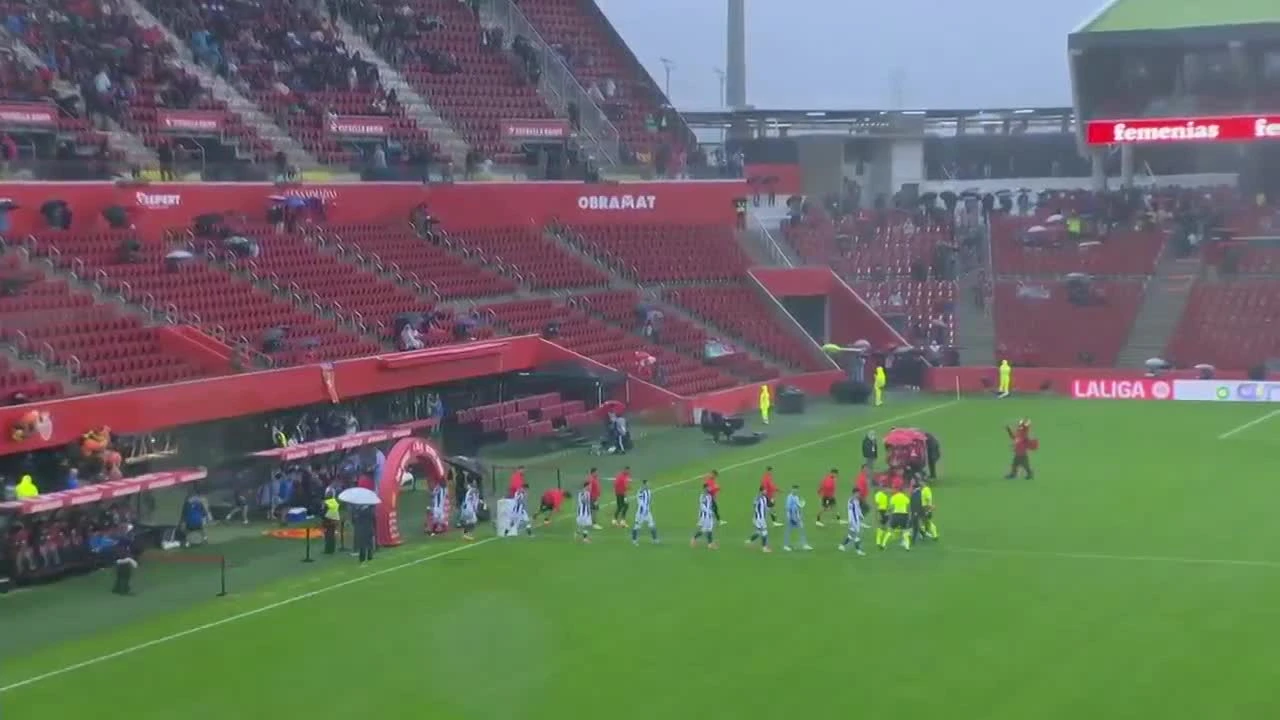zaslepka skrotu video