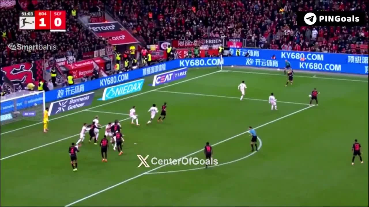 zaslepka skrotu video