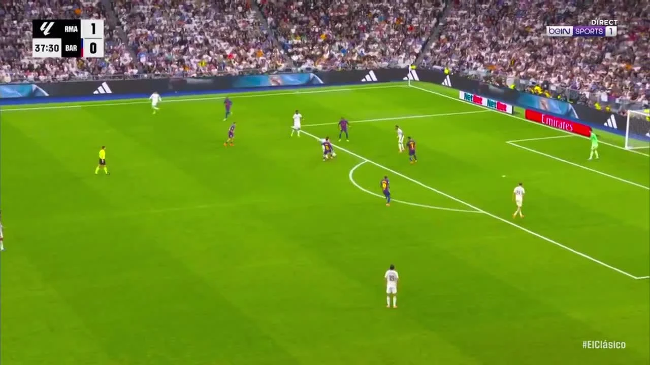 zaslepka skrotu video