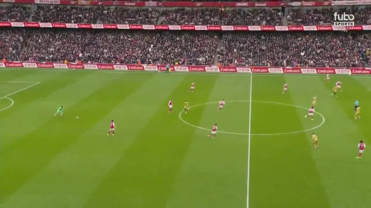 zaslepka skrotu video